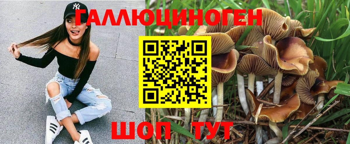 Галлюциногенные грибы Cubensis  Вход с VPN  где купить   Троицк 