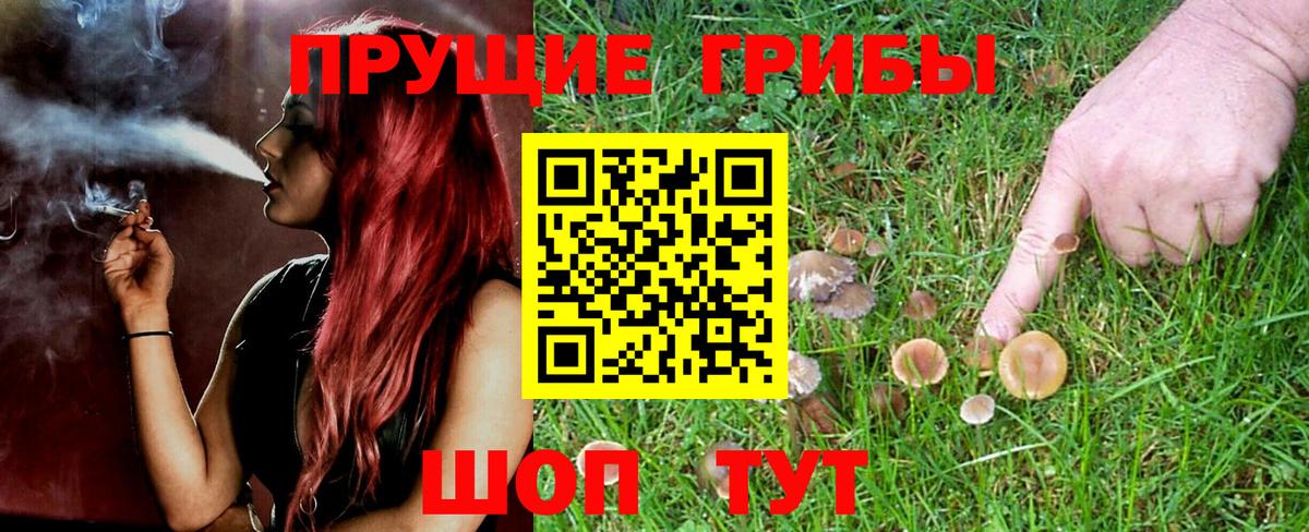 Псилоцибиновые грибы прущие грибы Троицк